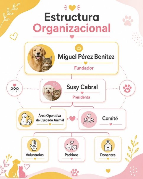 Estructura organizacional de Vidas Con Causa Soora A.C.